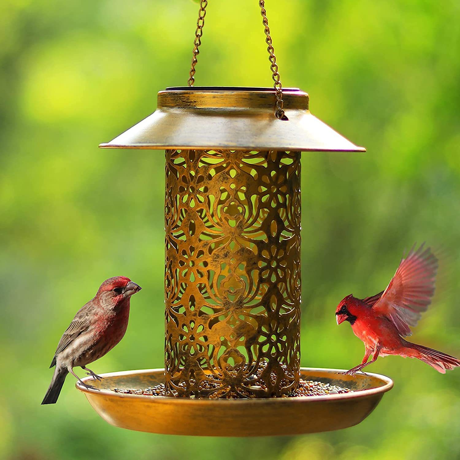 Hanging Bird House Metal Outdo - Outdoor Lighting Ideas For Backyard ulasan dan harga
